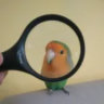Profile picture
