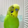 felix.possibl