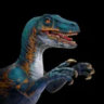 Matched profile picture
