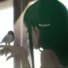 iamnotyourcatto