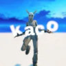 kaco8302
