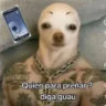 rodafs19