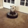 Fireteam: Roomba