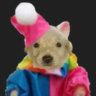 Selected profile picture