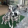 _.2nd