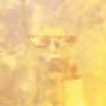 whosmav1