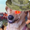 Selected profile picture