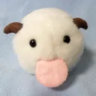 cutefathamster