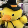 .ducklan