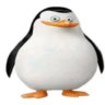 jotapefidobiu