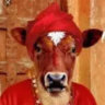 Matched profile picture