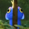 Selected profile picture