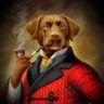 Matched profile picture