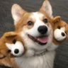 Matched profile picture