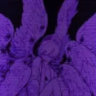 theratkingash