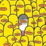 Matched profile picture