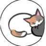 catlover123456778908