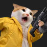 _nax