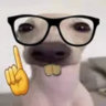 Matched profile picture
