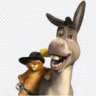 Matched profile picture