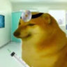 Matched profile picture