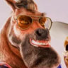 Profile picture