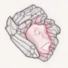 Selected profile picture