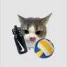 trapdor_fr