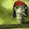 Selected profile picture