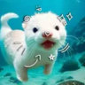 ❀₊˚  𝖢𝗈𝗓𝗒 𝖢𝗋𝗂𝗍𝗍𝖾𝗋 𐔌՞. .՞𐦯┆Community ・ Gaming ・Music ・  Socials ・ Events ・  Chill Vibes