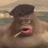 Matched profile picture