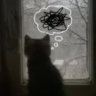 yuki1_2008