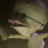 d.rd