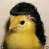 Selected profile picture