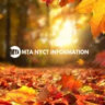 The MTA NYCT Information Server