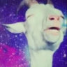 eneaeee