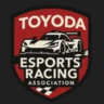 [AC] Toyoda Esports Racing Association | RADICAL CUP