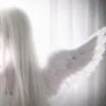 angel._0101