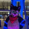 tushky