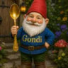 gindi_