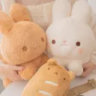 pikawolfvr