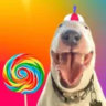 Selected profile picture