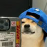 Selected profile picture