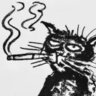 xxcatface