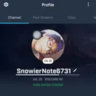 Matched profile picture