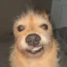 yashekvn