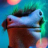 Selected profile picture
