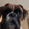 Matched profile picture