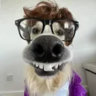 fibeerraleks