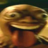 ptitecle